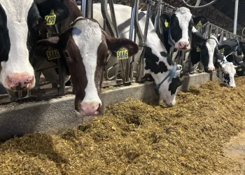 Soaring fertilizer prices from Iran war impacting Connecticut farmers