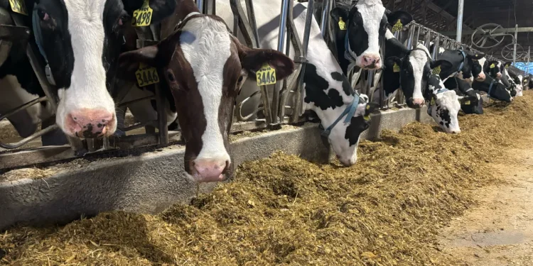 Soaring fertilizer prices from Iran war impacting Connecticut farmers