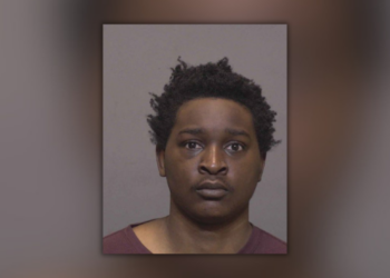 Man accused of 'sucker-punching' New Haven police officer in the face