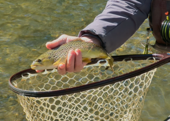 Outdoors Bound Road Trip to some of the best trout fishing in America