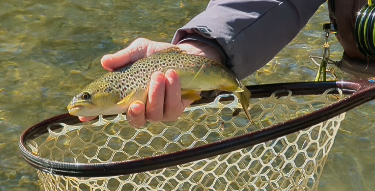 Outdoors Bound Road Trip to some of the best trout fishing in America