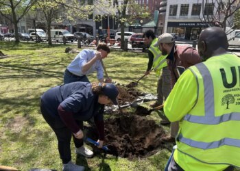 PHOTOS: City leaders, volunteers plant trees on New Haven Green for Arbor Day