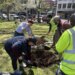 PHOTOS: City leaders, volunteers plant trees on New Haven Green for Arbor Day