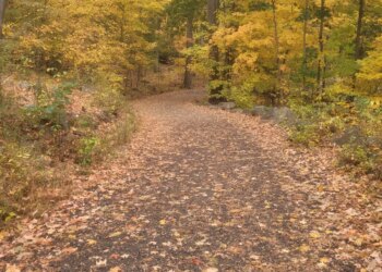 Person injured after 'apparent fall' at Sleeping Giant State Park in Hamden