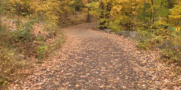 Person injured after 'apparent fall' at Sleeping Giant State Park in Hamden