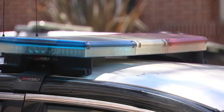Woman charged after 7 dead dogs, one dead cat found in Lebanon home