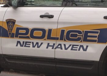New Haven man arrested after assaulting police officer
