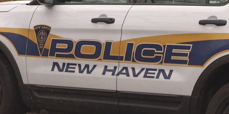New Haven man arrested after assaulting police officer