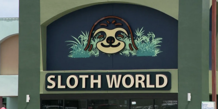 31 sloths meant for Florida ‘slotharium' attraction die in warehouse or in transit