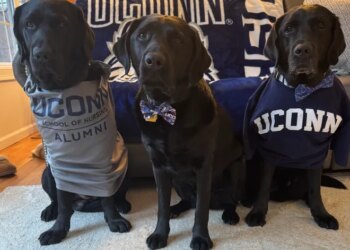 Share your UConn fan photos with News 8