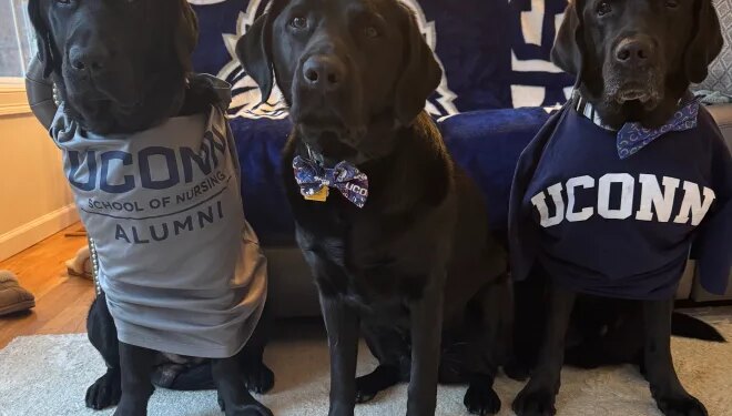 Share your UConn fan photos with News 8
