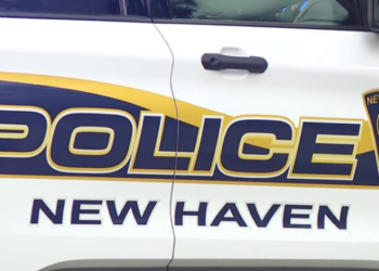 Shots fired under investigation in New Haven