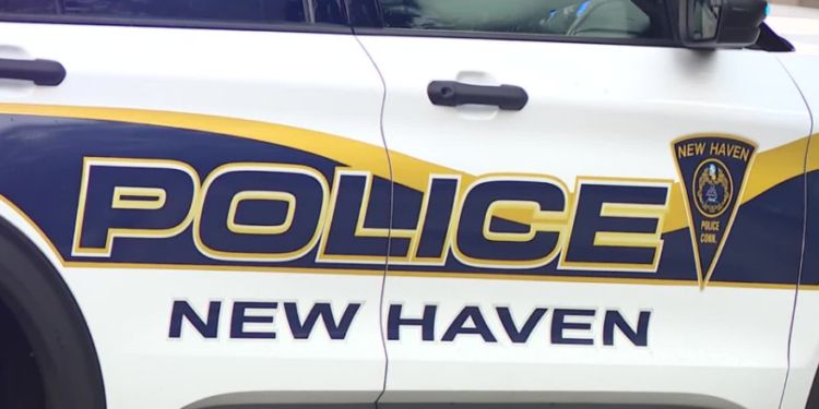 Shots fired under investigation in New Haven