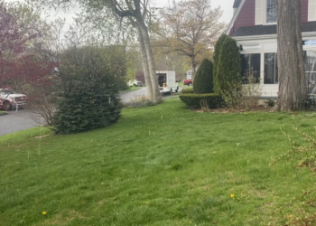 Soft hail 'graupel' falls in Naugatuck: VIDEO