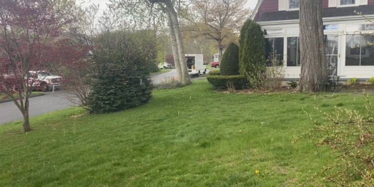 Soft hail 'graupel' falls in Naugatuck: VIDEO