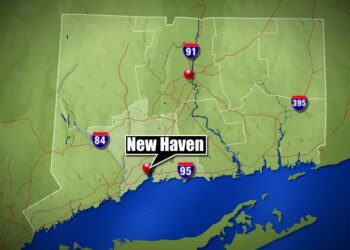 Two robberies in New Haven, one arrest