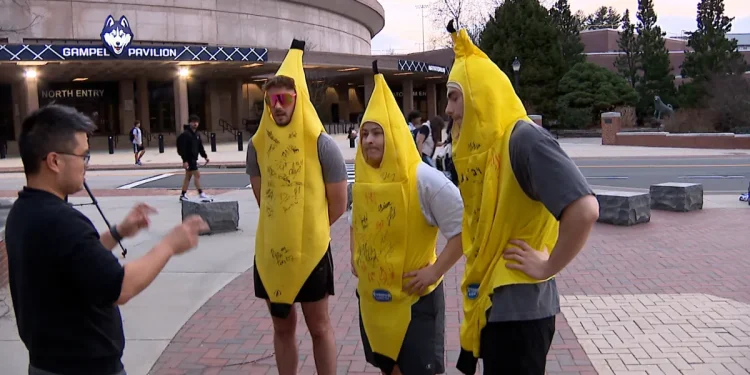 UConn students dressed as bananas being resourceful to attend the men's Final Four