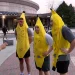 UConn students dressed as bananas being resourceful to attend the men's Final Four