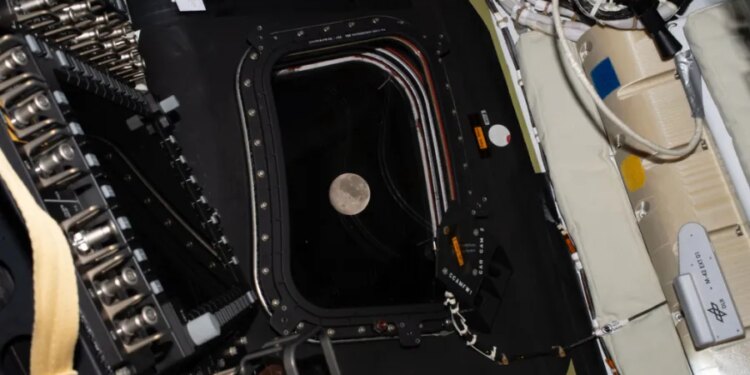 Watch the Artemis II crew's historic moon flyby