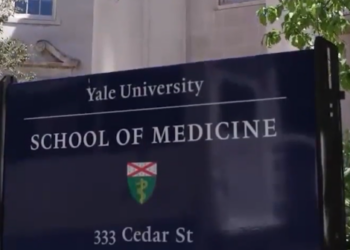 Women's Mental Health Conference at Yale to explore issues affecting mental, physical health