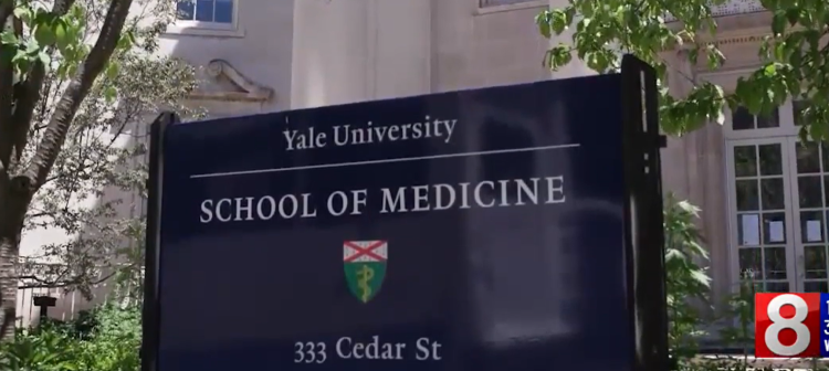 Women's Mental Health Conference at Yale to explore issues affecting mental, physical health