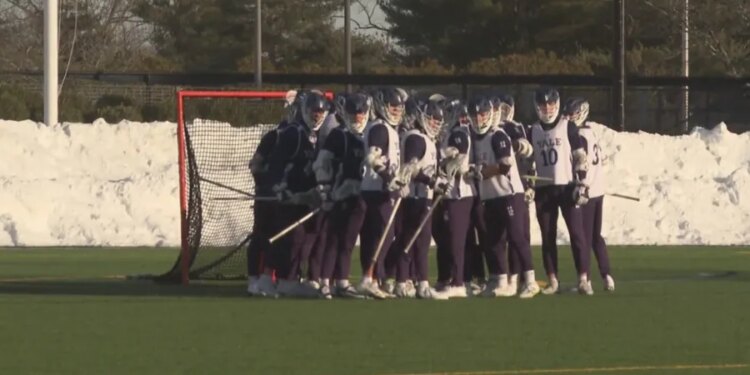 Yale men's lacrosse on cusp of Ivy League tourney berth