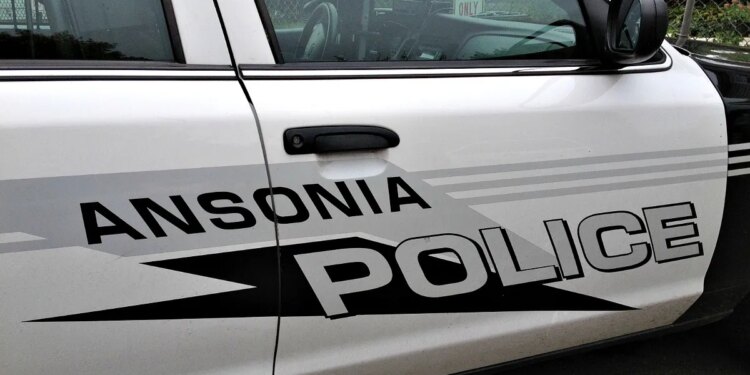 Three children, 39 dogs found in unsanitary, unsafe Ansonia home: Police