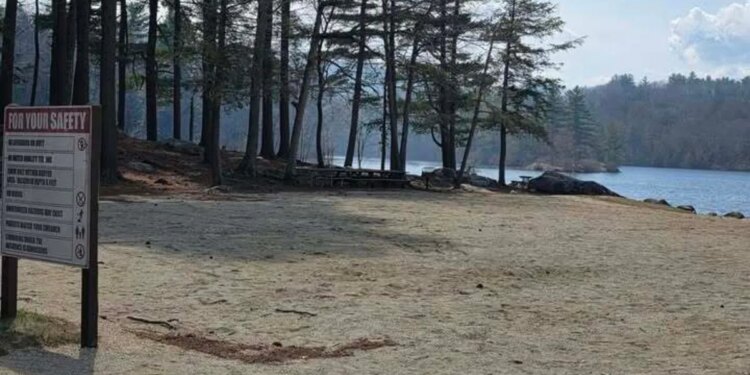 Firefighters battle brush fire in Torrington