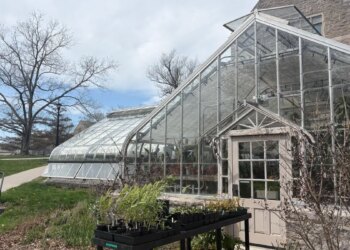 Sustainability efforts at Connecticut College nationally recognized