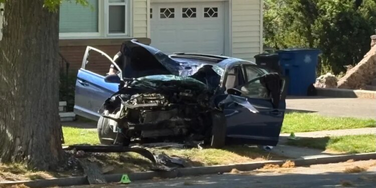 1 dead, others injured after car crashes into tree on Woodward Avenue in New Haven