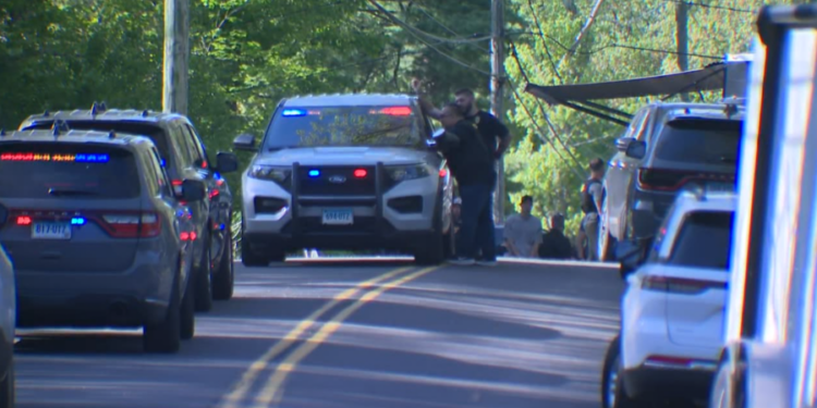 100 people arrested, hundreds of birds euthanized after cockfighting investigation in Tolland