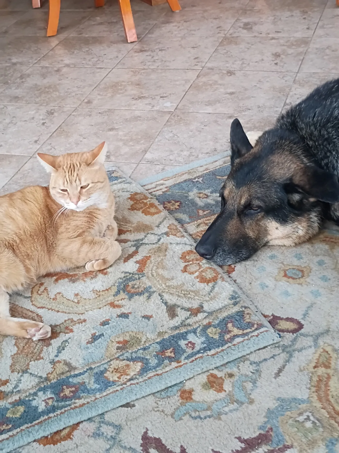 Mickey Finn and Remy 