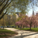 2 Connecticut areas named best summer travel destinations: WalletHub