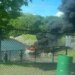 2 children injured after boat fire at Candlewood Lake