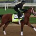 2026 Kentucky Derby horses: Here are the names, posts and jockeys for this year