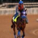 Long shot So Happy runs to the Kentucky Derby amid heartbreak and hope and a chance at history