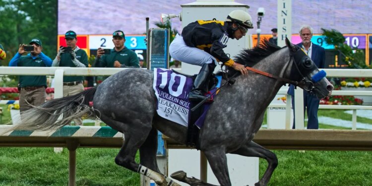 Napoleon Solo wins 151st Preakness Stakes in open second Triple Crown race
