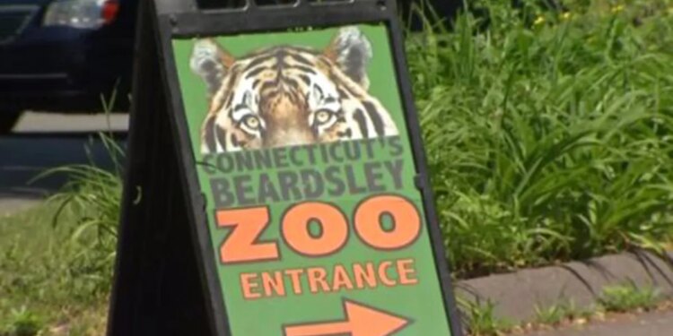 Beardsley Zoo closed on Tuesday due to ‘threatening calls'