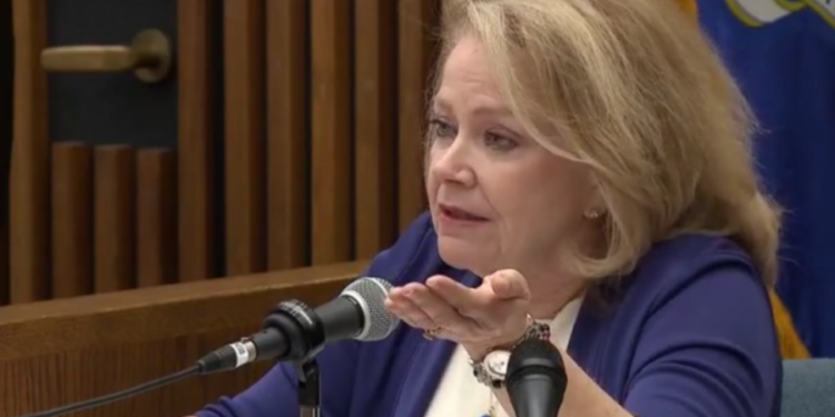 Child welfare expert claims DCF acted reasonably in its investigation weeks before baby was thrown off bridge
