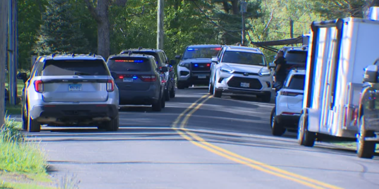Cockfighting arrests were part of 'one of the largest mass investigations' in modern state history: CSP