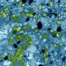 Connecticut DPH identifies first case of clade I mpox