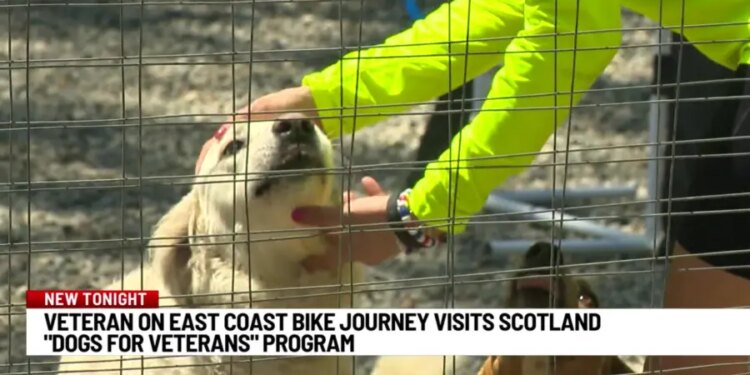 Dogs for Veterans, Wounded Warrior Project unite for Scotland community