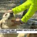 Dogs for Veterans, Wounded Warrior Project unite for Scotland community