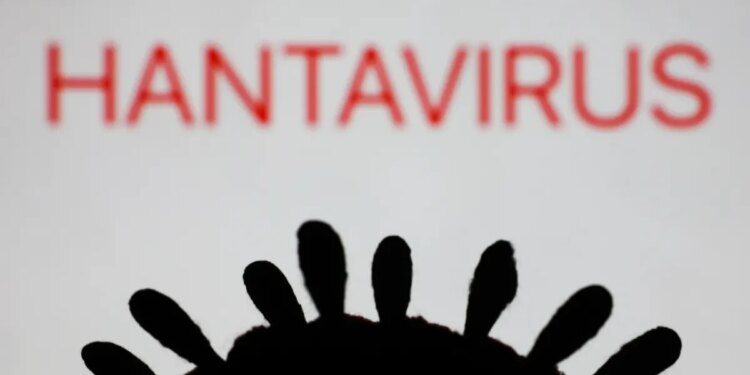 I'm a doctor who treated hantavirus in the 2012 outbreak. 5 things people keep getting wrong