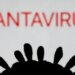 I'm a doctor who treated hantavirus in the 2012 outbreak. 5 things people keep getting wrong