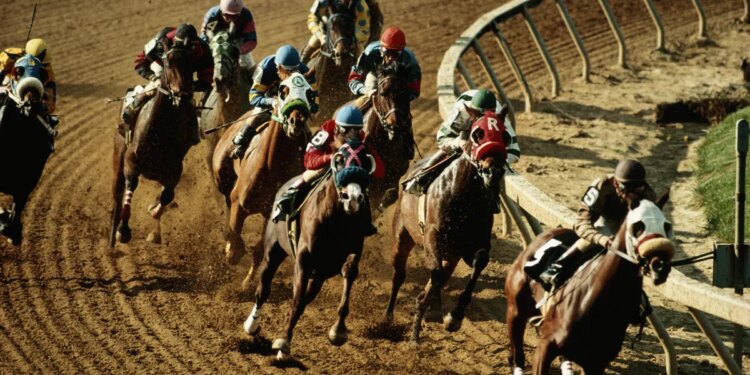 What would you name your racehorse? Try our name generator