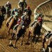 What would you name your racehorse? Try our name generator