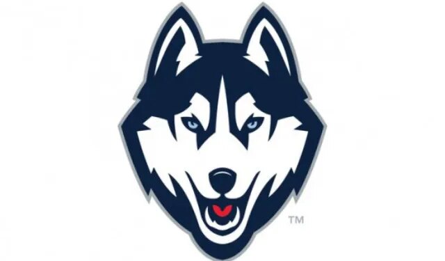 Husky fan? Here's how you can get a UConn license plate
