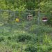 Large scale cockfighting ring under investigation in Tolland