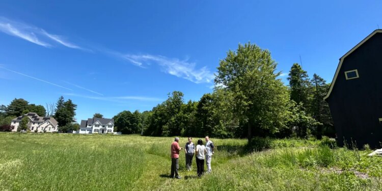 Farmington to weigh feasibility of turning park into cemetery